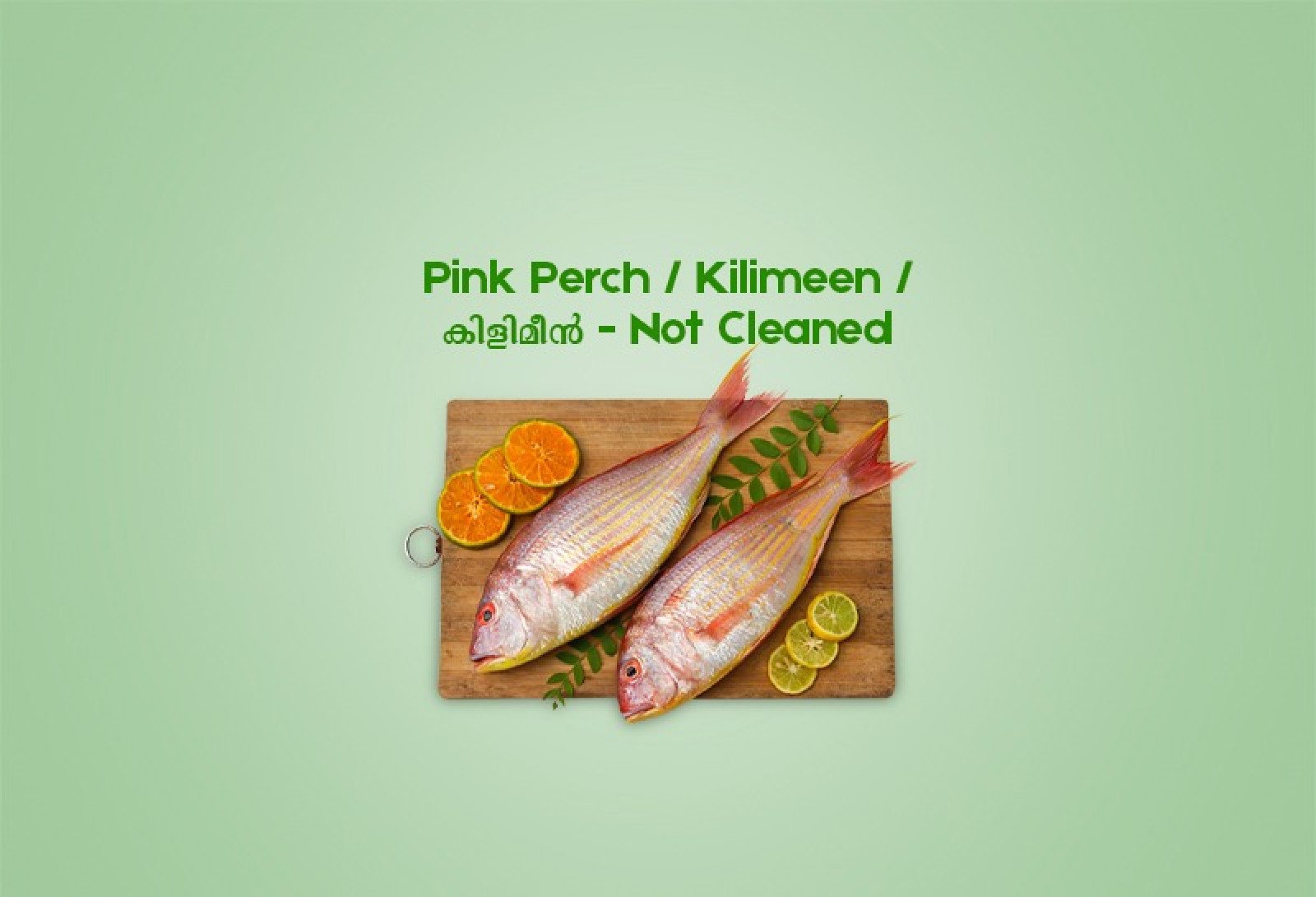 Cleaned Pink Perch Large / Kilimeen / കിളിമീൻ (300gm) 